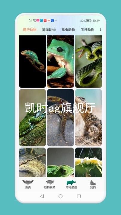 凯时ag旗舰厅